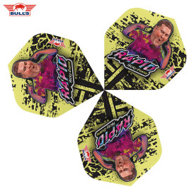BULLS NL Dart Flight Player 100 Ricky Evans The Rapid Flights Dartflight verschiedene Designs