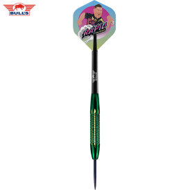 BULLS NL Steel Darts Ricky Evans Brass grün...