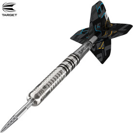 Target Steel Darts SWISS Point Chris Dobey Hollywood Gen 1 Generation 1 90% Tungsten Steeltip Dart Steeldart 24 g