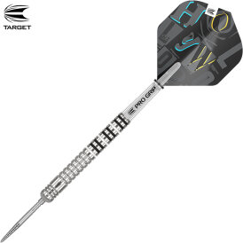 Target Steel Darts SWISS Point Chris Dobey Hollywood Gen 1 Generation 1 90% Tungsten Steeltip Dart Steeldart 24 g