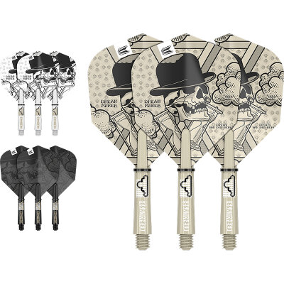 Target Dart INK Dimitri van den Bergh The Dreammaker Flight & Shaft Kit in drei Farben S Kurz