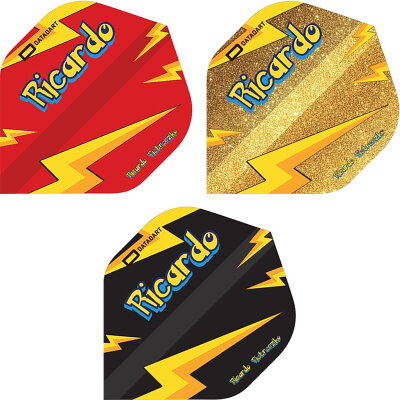 Datadart Dartflight Ricardo Pietreczko Pikachu Signatur Dartflight Standart Dart Flight 2023 verschiedene Designs