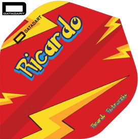 Datadart Dartflight Ricardo Pietreczko Pikachu Signatur...