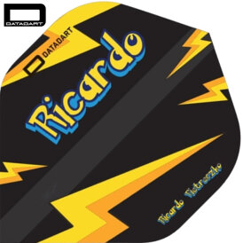Datadart Dartflight Ricardo Pietreczko Pikachu Signatur Dartflight Standart Dart Flight 2023 verschiedene Designs