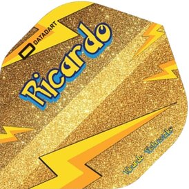 Datadart Dartflight Ricardo Pietreczko Pikachu Signatur...