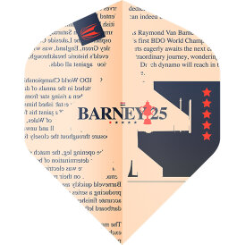 Target Dart Pro Ultra RVB Barney 25 Raymond van Barneveld Flight Dartflights Design 2023 Nr.2 Flight