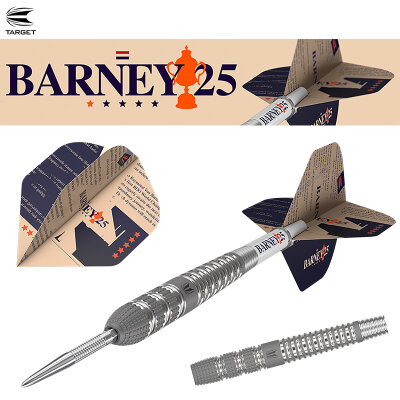 Target Steel Darts SWISS Point Barney 25 Raymond van Barneveld RVB25 95% Tungsten Steeltip Dart Steeldart 23 g