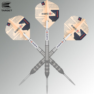 Target Steel Darts SWISS Point Barney 25 Raymond van Barneveld RVB25 95% Tungsten Steeltip Dart Steeldart 23 g
