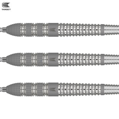 Target Steel Darts SWISS Point Barney 25 Raymond van Barneveld RVB25 95% Tungsten Steeltip Dart Steeldart 23 g