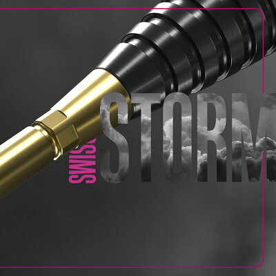 Target Steel Tip SWISS Point Dart Wechsel- Spitzen Schraubspitzen Silber Storm Point Nano 35 mm