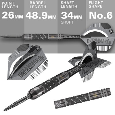 Target Steel Darts SWISS Point Dimitri van den Bergh X Echo Edition 90% Tungsten Steeltip Steeldart 22 g