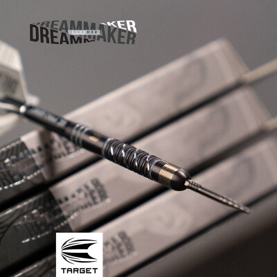 Target Steel Darts SWISS Point Dimitri van den Bergh X Echo Edition 90% Tungsten Steeltip Steeldart 22 g