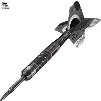 Target Steel Darts SWISS Point Dimitri van den Bergh X Echo Edition 90% Tungsten Steeltip Steeldart 22 g