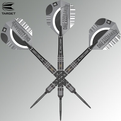 Target Steel Darts SWISS Point Dimitri van den Bergh X Echo Edition 90% Tungsten Steeltip Steeldart 22 g