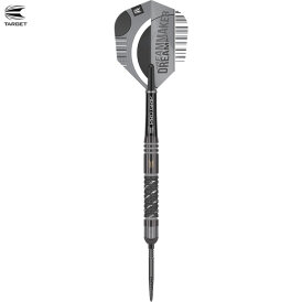 Target Steel Darts SWISS Point Dimitri van den Bergh X Echo Edition 90% Tungsten Steeltip Steeldart 24 g