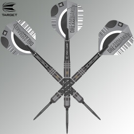Target Steel Darts SWISS Point Dimitri van den Bergh X Echo Edition 90% Tungsten Steeltip Steeldart 24 g
