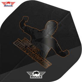 BULLS NL Player Flight Edition 2 Dirk van Duijvenbode E2...