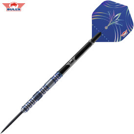 BULLS NL Steel Darts Silvian 90% Tungsten Steeltip Darts Steeldart