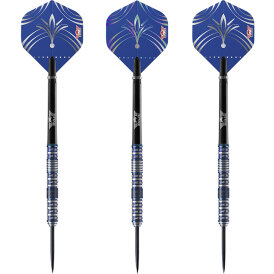 BULLS NL Steel Darts Silvian 90% Tungsten Steeltip Darts Steeldart 25 g
