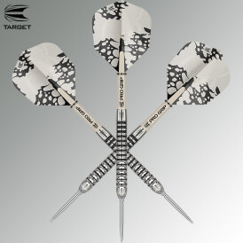 Target Steel Darts EXO 01 SWISS Point 90% Tungsten Steeltip Darts Steeldart 23 g