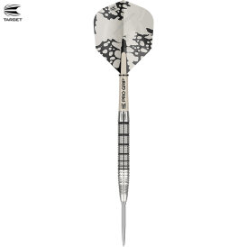 Target Steel Darts EXO 02 SWISS Point 90% Tungsten Steeltip Darts Steeldart 24 g