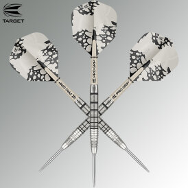 Target Steel Darts EXO 02 SWISS Point 90% Tungsten Steeltip Darts Steeldart 24 g