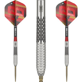 Target Steel Darts SWISS Point Stephen Bunting The Bullet...
