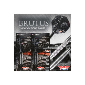 BULLS NL Steel Darts Brutus Magnus 80% Tungsten Steeltip Darts Steeldart 29 g