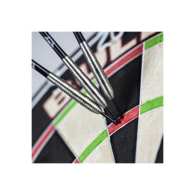 BULLS NL Steel Darts Brutus Magnus 80% Tungsten Steeltip Darts Steeldart 29 g