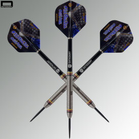Datadart Steel Darts Ricardo Pietreczko Pikachu 80% Tungsten Steeltip Darts Steeldart 25 g