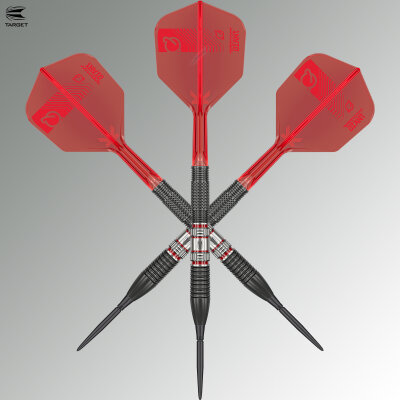 Target Steel Darts SWISS Point Gabriel Clemens 95K 95% Tungsten German Giant Steeltip Darts Steeldart