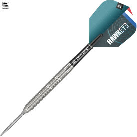 Target Steel Darts SWISS Point Kevin Doets G1 Generation 1 Hawk Eye 90% Tungsten Steeltip Darts Steeldart 23 g