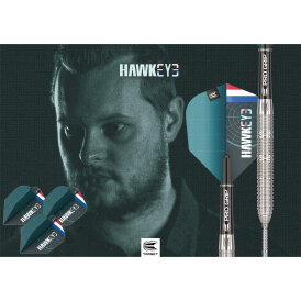 Target Steel Darts SWISS Point Kevin Doets G1 Generation 1 Hawk Eye 90% Tungsten Steeltip Darts Steeldart 23 g