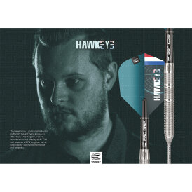 Target Steel Darts SWISS Point Kevin Doets G1 Generation 1 Hawk Eye 90% Tungsten Steeltip Darts Steeldart 23 g