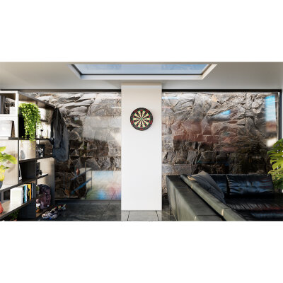 Target Dart Tor Professional Bristle Dart Board Dartboard Turnierboard Dartscheibe