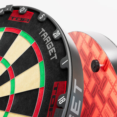 Target Dart Tor Professional Bristle Dart Board Dartboard Turnierboard Dartscheibe
