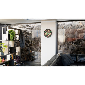 Target Dart Tor Professional Bristle Dart Board Dartboard Turnierboard Dartscheibe
