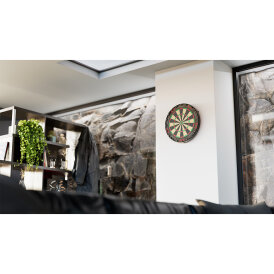 Target Dart Tor Professional Bristle Dart Board Dartboard Turnierboard Dartscheibe