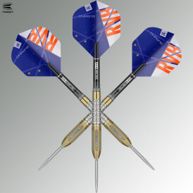 Target Steel Darts SWISS Point Raymond van Barneveld Chrono 95% Tungsten Steeltip Dart Steeldart 21 g