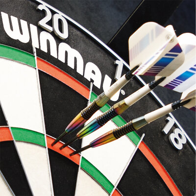 Winmau Polaris 120� Light Dartboard Light Dartboardbeleuchtung Dartscheiben Licht / B-Ware