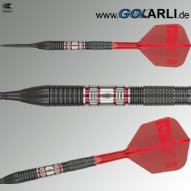 Target Steel Darts SWISS Point Gabriel Clemens 95K 95% Tungsten German Giant Steeltip Darts Steeldart 22 g