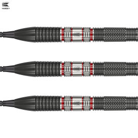 Target Steel Darts SWISS Point Gabriel Clemens 95K 95% Tungsten German Giant Steeltip Darts Steeldart 22 g