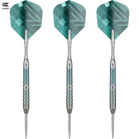 Target Steel Darts SWISS Point Rove 03 90% Tungsten Steeltip Darts Steeldart 24 g