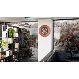 Target Dart Vale Dartboard Surround / Dart Catchring Rot