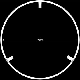 Winmau Plasma Ice Dartboard Surround Light & Pro-Line Original White Surround Bundle