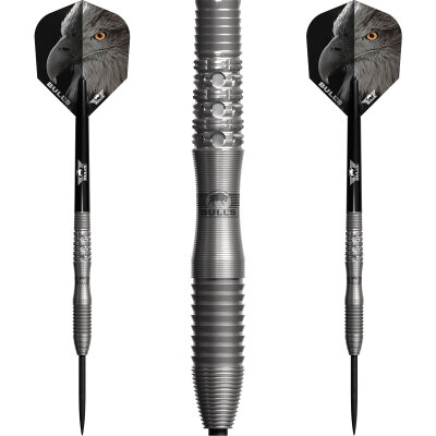 BULLS NL Steel Darts Eagle 3 90% Tungsten Steeltip Darts Steeldart 22 g
