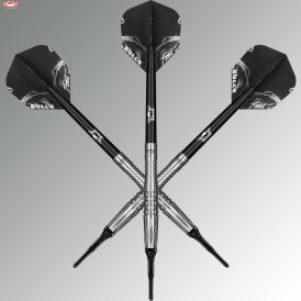 BULLS NL Soft Darts Smoke Silver Ash 90% Tungsten Softtip Darts Softdart 20 g