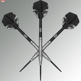BULLS NL Steel Darts Smoke Silver Ash 90% Tungsten Steeltip Darts Steeldart 25 g