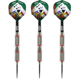 BULLS NL Dart Cella Starter Set Dartboard Surround Set Dartscheibe incl. 2 Dartsets