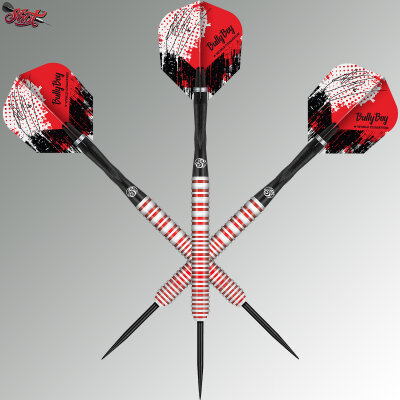 Shot Steel Darts Michael Smith Bully Boy Game Day 90% Tungsten Steeltip Darts Steeldart